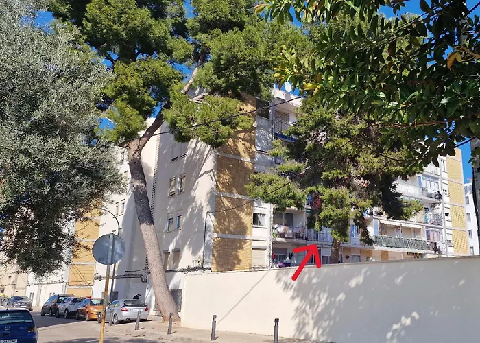 Apartment Grau 5 Gandia